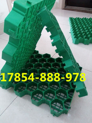 欢迎光临、南京停车位植草格))股份丨欢迎您_南京植草格,南京停车位植草格,南京植草格公司,植草格,停车位植草格_供应信息_中国安防展览网