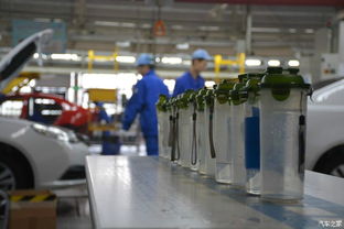 探访南京防水工程的源头 南京工厂一线直击